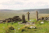 wpe73800.gif (118842 bytes)
